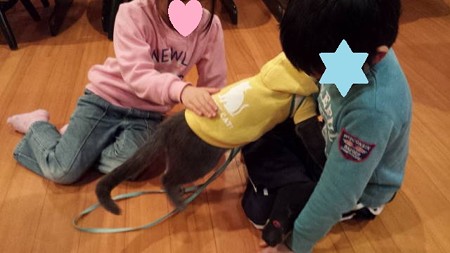 20150124_202950