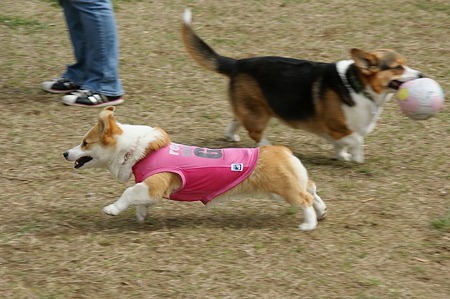 DSC07762