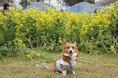 DSC08006