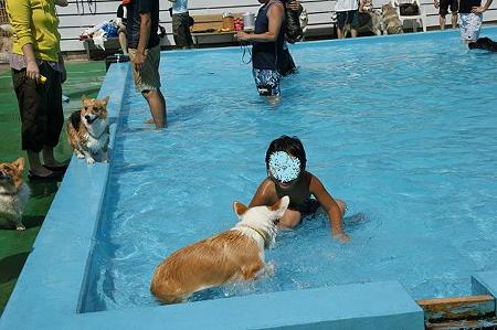 DSC02180