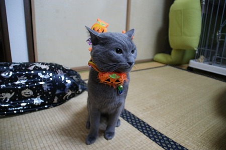 DSC04269