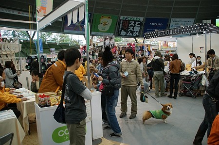 DSC04788