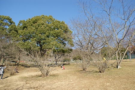 DSC05480