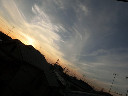 CIMG2566