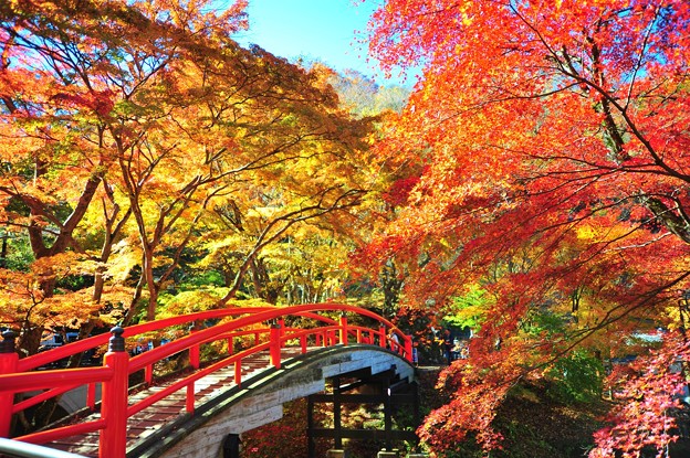 河鹿橋