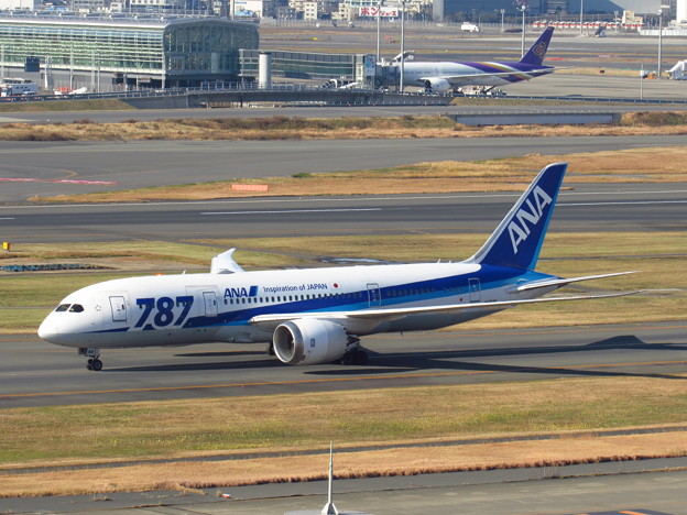 ana b787-8