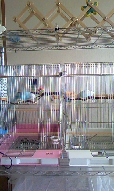 Photos: 勝手にカゴに戻ったと思った...