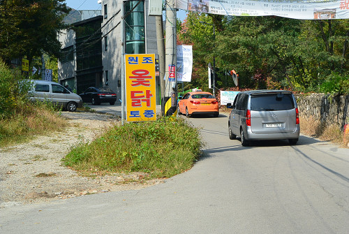resize1116 写真: resize1116