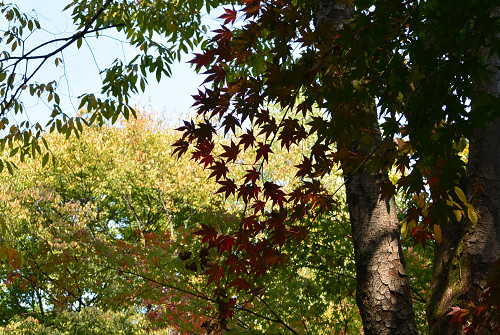 resize1120 写真: resize1120