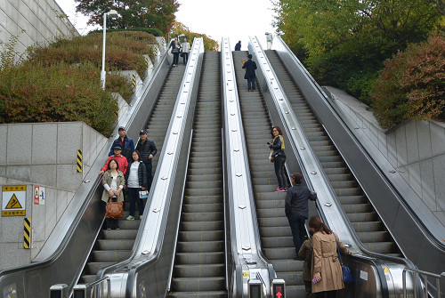 resize1216 写真: resize1216