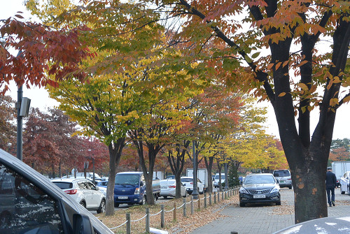 resize1226 写真: resize1226