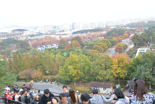 resize1239 写真: resize1239