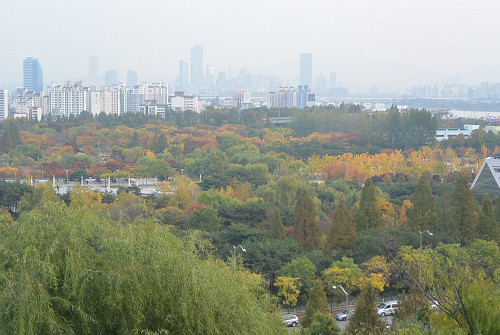 resize1240 写真: resize1240
