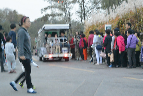 resize1250 写真: resize1250