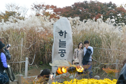 resize1251 写真: resize1251