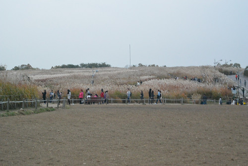 resize1256 写真: resize1256