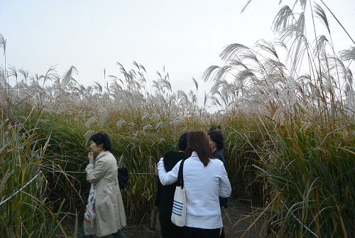resize1257 写真: resize1257