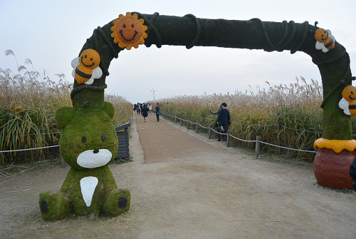 resize1260 写真: resize1260