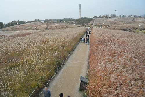 resize1269 写真: resize1269