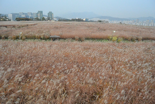 resize1270 写真: resize1270