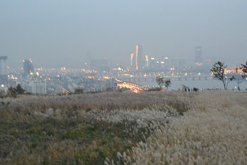 resize1274 写真: resize1274