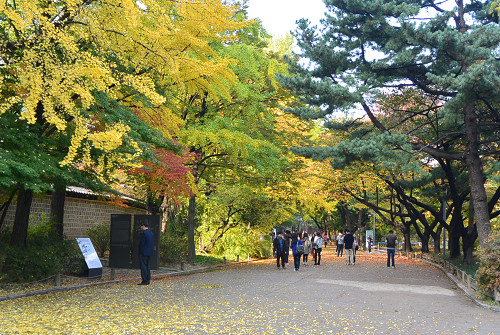 resize1333 写真: resize1333
