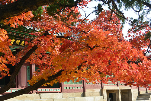 resize1338 写真: resize1338