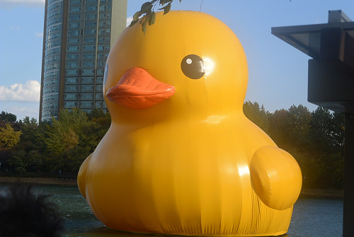 resize1397 写真: resize1397