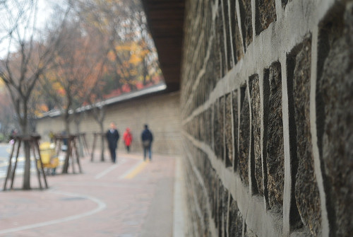 resize1515 写真: resize1515