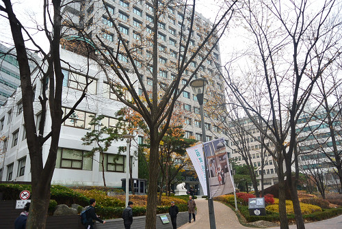 resize1516 写真: resize1516