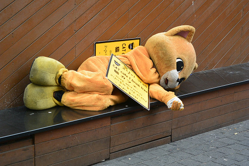 resize1574 写真: resize1574