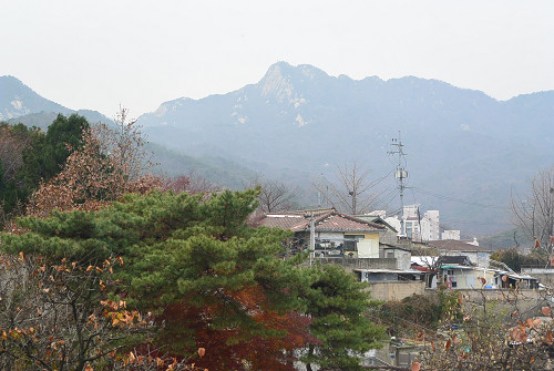 resize1589 写真: resize1589