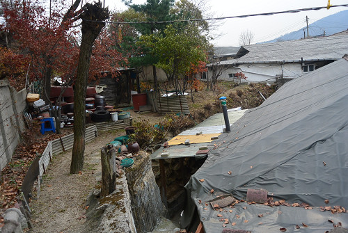 resize1597 写真: resize1597