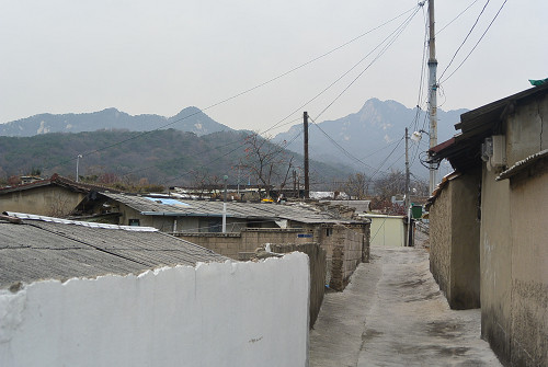 resize1605 写真: resize1605