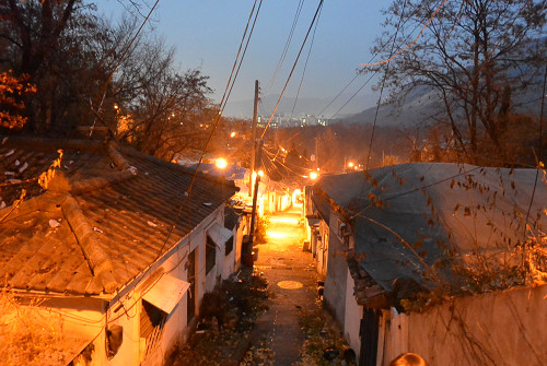 resize1641 写真: resize1641