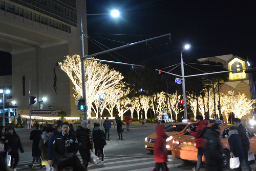 resize1852 写真: resize1852