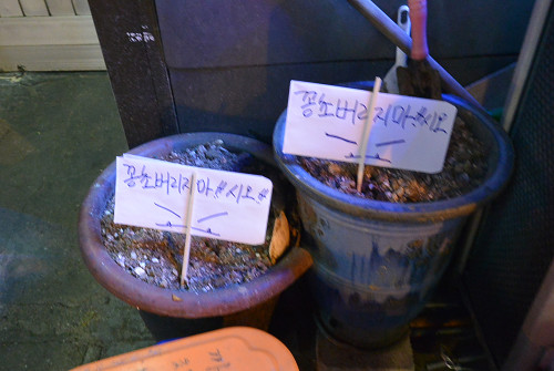 resize1883 写真: resize1883