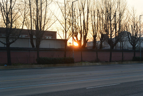 resize0545 写真: resize0545