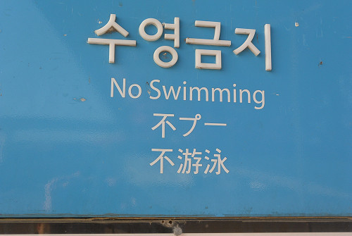 resize0592 写真: resize0592
