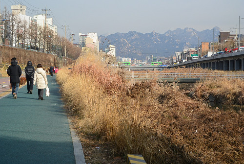 resize0845 写真: resize0845