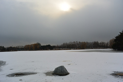 resize0882 写真: resize0882