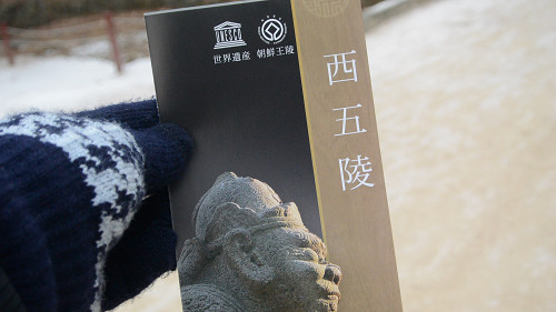 resize2039 写真: resize2039