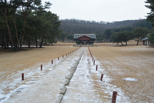 resize2043 写真: resize2043