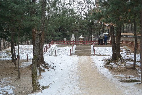 resize2044 写真: resize2044