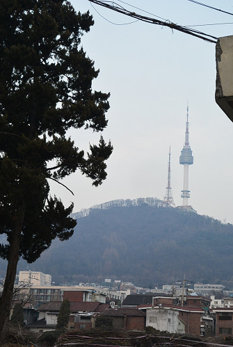 resize2095 写真: resize2095