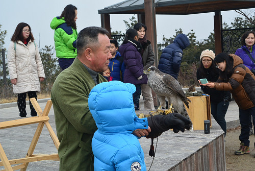 resize2218 写真: resize2218