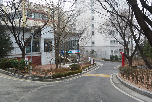 resize2225 写真: resize2225