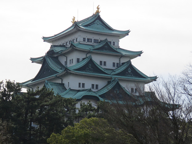 resize1281 写真: resize1281