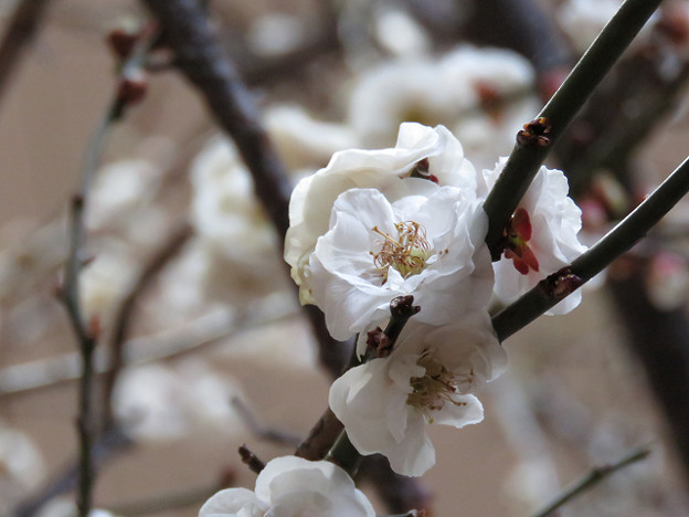 resize1328 写真: resize1328