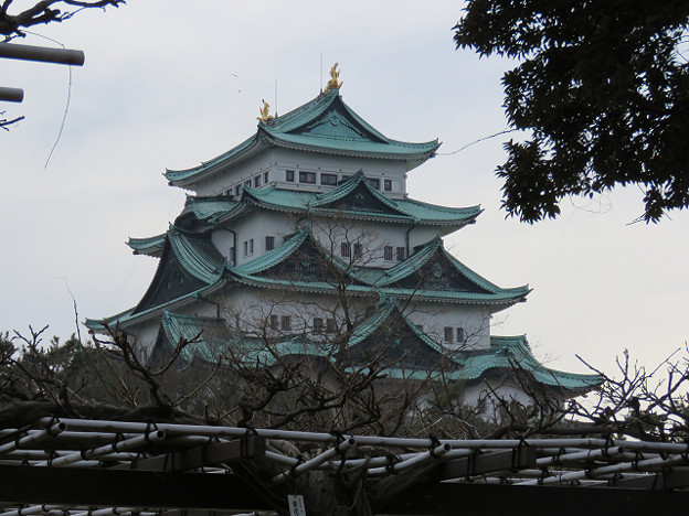resize1340 写真: resize1340